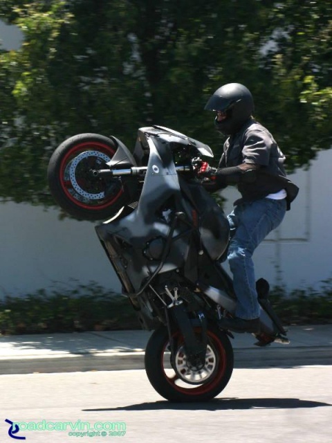 CBR954RR - Standup Wheelie